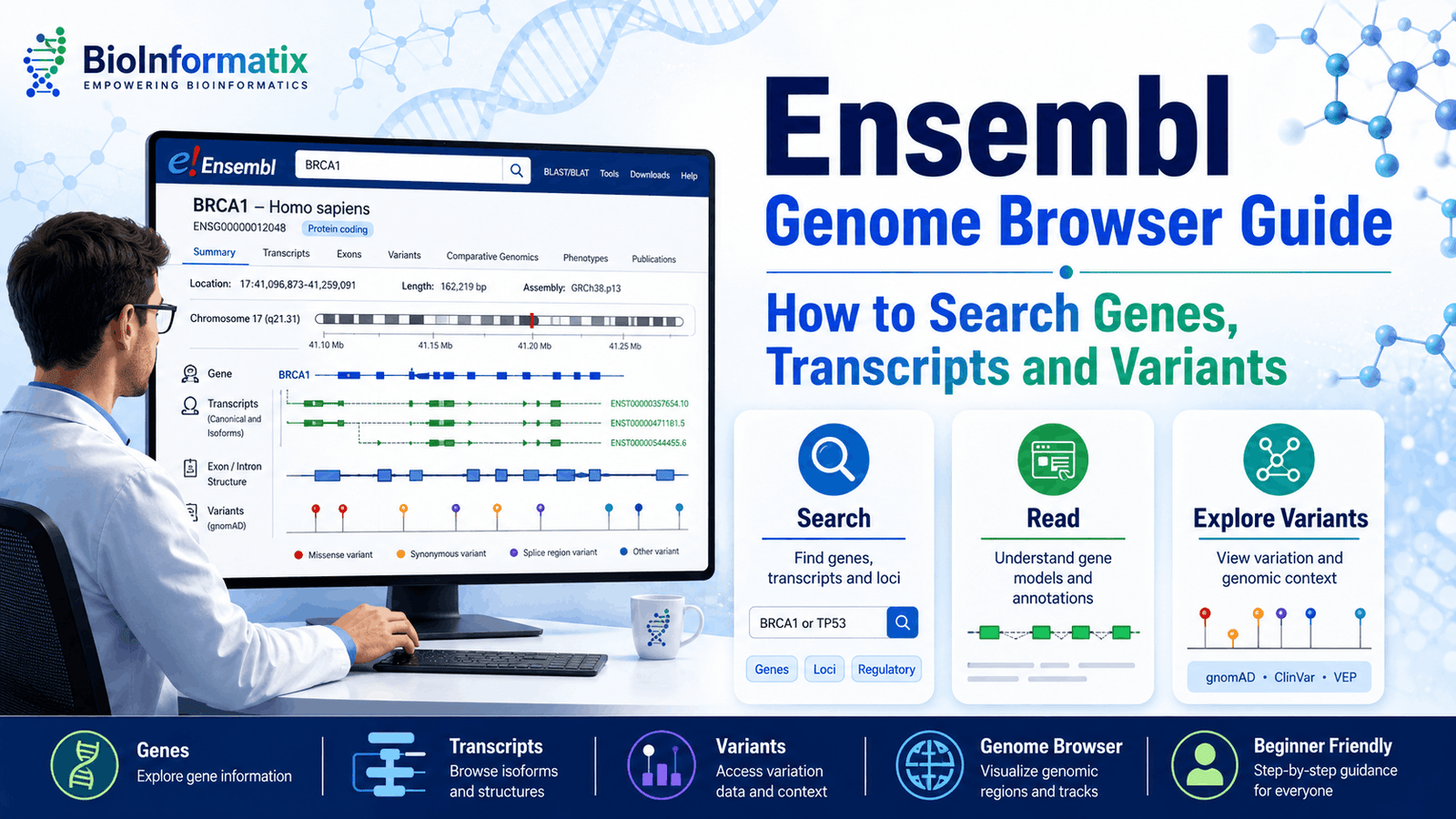 Ensembl Genome Browser Guide: How to Search Genes, Transcripts and Variants (2026)