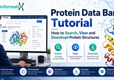 Protein Data Bank tutorial